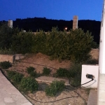 parko_13
