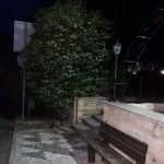 parko_2