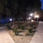 parko_12