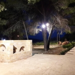 parko_11