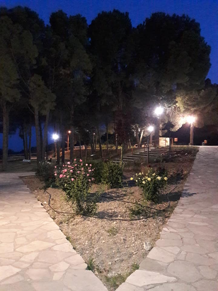 parko_12