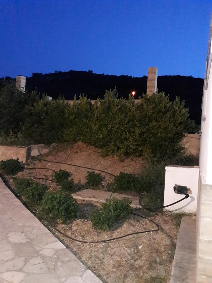 parko_13