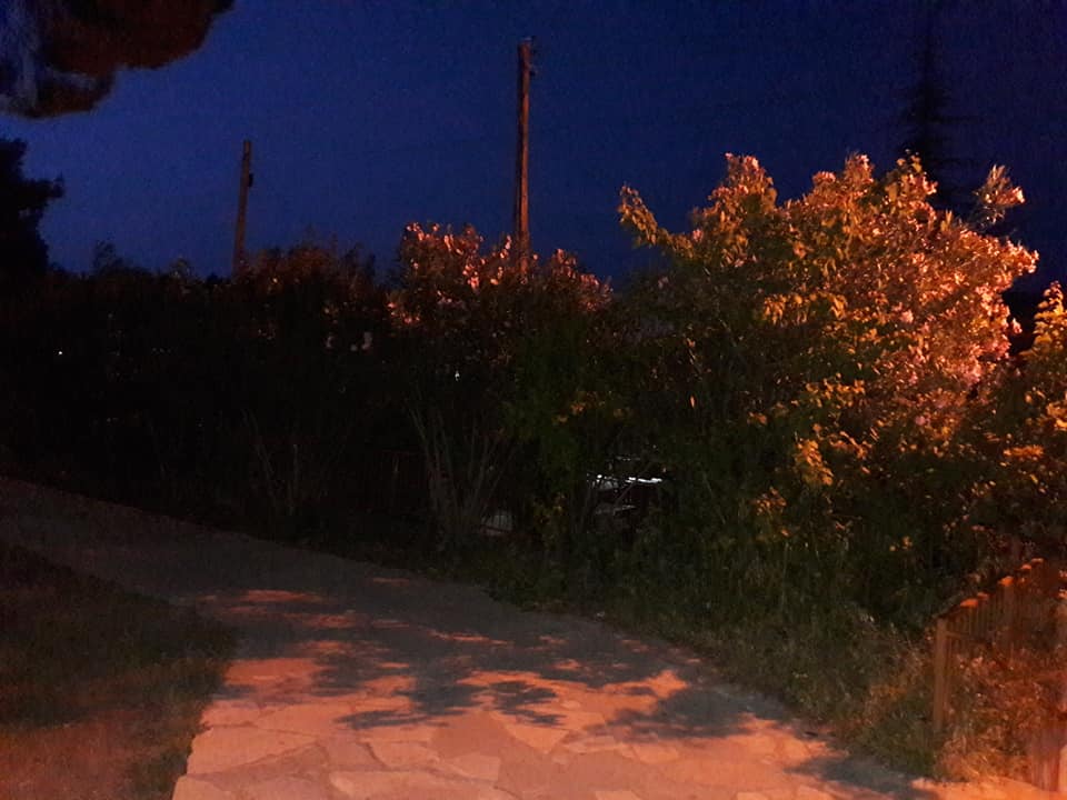 parko_7